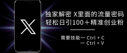 独家解密 X 里面的流量密码，复制粘贴轻松日引100+粉，精准迅速获客-颜夕资源网-第18张图片