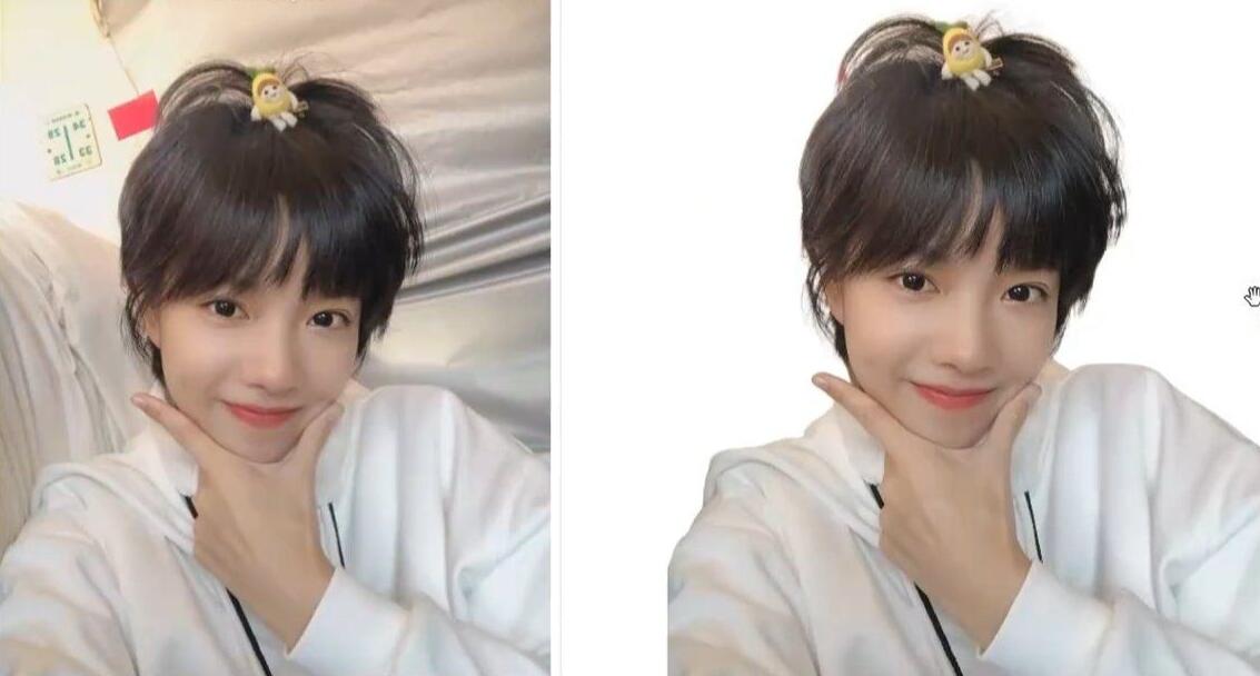 RMBG-2-Studio V2.0 抠图工具，支持批处理，毛发丝轻松扣-颜夕资源网-第17张图片