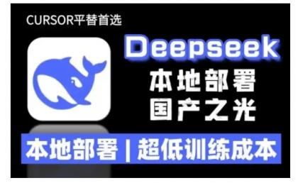2025年deepseek R1 大型模型当地部署应用(文档 实例教程)本地部署，极低练习成本费-颜夕资源网-第18张图片