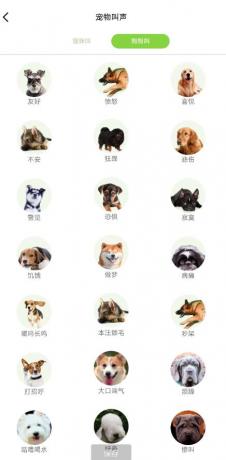 能和猫咪狗狗交流的宠物翻译器-颜夕资源网-第18张图片 能和猫咪狗狗交流的宠物翻译器-颜夕资源网-第18张图片