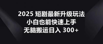 2025短剧最新升级玩法，小白也能快速上手，无脑搬运日入300+-颜夕资源网-第18张图片