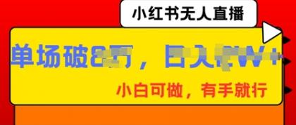 小红书无人直播，纯小白可做，有手就行，单场直播销售额破8w-颜夕资源网-第18张图片
