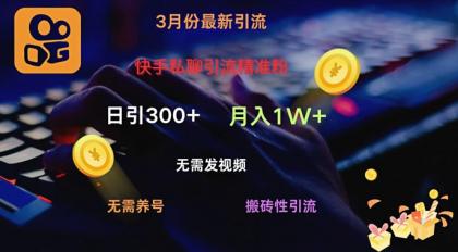 快手视频私信引流方法精准粉，当日奏效不用上传视频打金引流法日引300-颜夕资源网-第18张图片