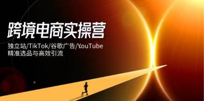 跨境电商实操营：独立站/TikTok/谷歌广告/YouTube，精准选品与高效引流-颜夕资源网-第18张图片