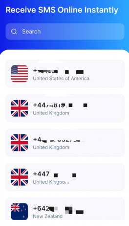 临时虚拟手机号接码用 国内不可用-颜夕资源网-第18张图片 临时虚拟手机号接码用 国内不可用-颜夕资源网-第18张图片