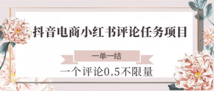 抖音电商小红书评论任务项目，一个评论0.5，一单一结 不限量-颜夕资源网-第18张图片