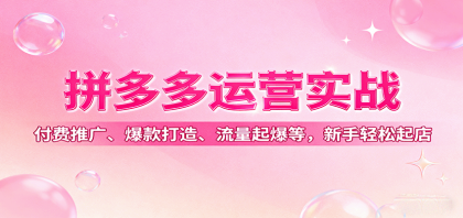 拼多多运营实战，付费推广、爆款打造、流量起爆等，新手轻松起店-颜夕资源网-第18张图片