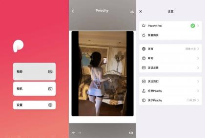 peachy抠图、P图、滤镜解锁会员版-颜夕资源网-第18张图片