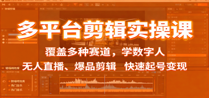 多平台剪辑实操课：覆盖多种赛道，学数字人、无人直播、爆品剪辑，快速起号变现-颜夕资源网-第18张图片