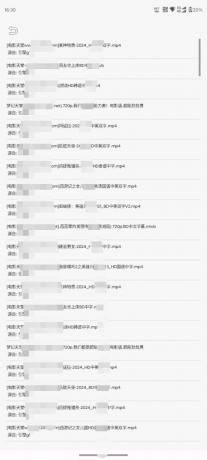 飞木磁力1.1.4 超强磁力搜索工具-颜夕资源网-第19张图片