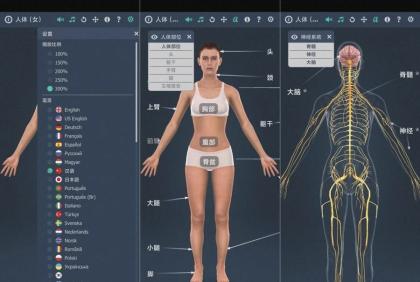 人体系统女性3D-1.0详细介绍女性全身系统～无广版-颜夕资源网-第18张图片