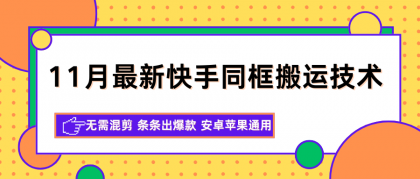 11月最新快手同框搬运技术，无需混剪 条条出爆款 安卓苹果通用-颜夕资源网-第18张图片