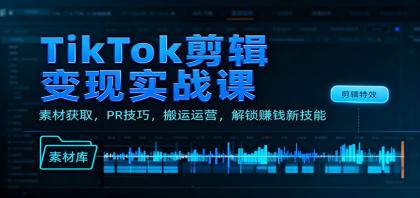 TikTok剪辑变现实战课：素材获取，PR技巧，搬运运营，解锁赚钱新技能-颜夕资源网-第18张图片