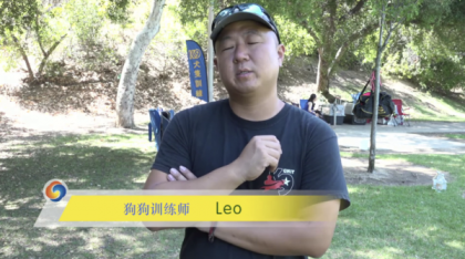 宠物训练-训狗教程Dog Training-颜夕资源网-第18张图片 宠物训练-训狗教程Dog Training-颜夕资源网-第18张图片