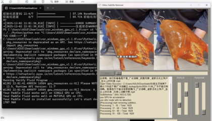 视频硬字幕去除器 v1.1.0-颜夕资源网-第18张图片