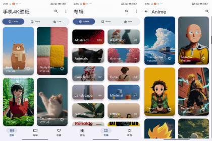 手机4K壁纸-手机美化（解锁VIP功能）-颜夕资源网-第18张图片