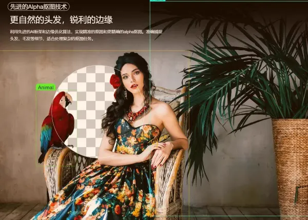 智能抠图 Matting2.6 一键快速抠图 PS 修图影楼设计 AI 抠图工具-颜夕资源网-第20张图片